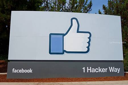 DSC06833_.jpg DSC06833_.jpg