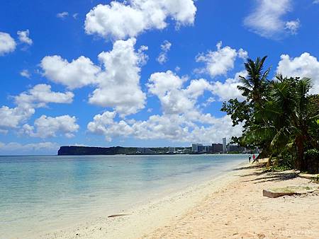 P6090026_.jpg P6090026_.jpg