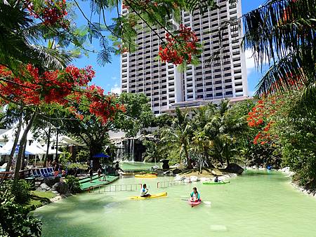 P6090001_.jpg P6090001_.jpg