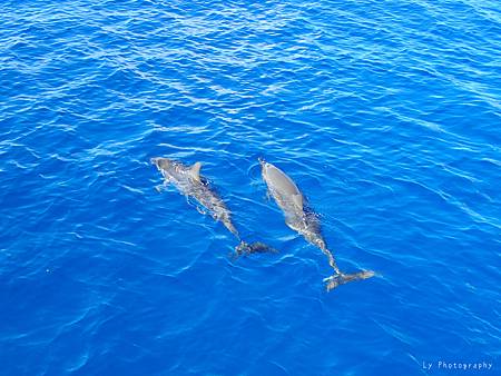 P6100753_.jpg P6100753_.jpg