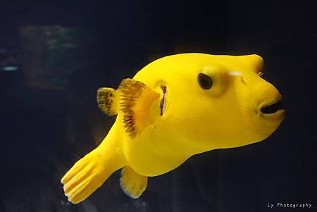 DSC03150_.jpg DSC03150_.jpg