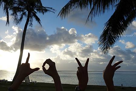 DSC03438_.jpg DSC03438_.jpg