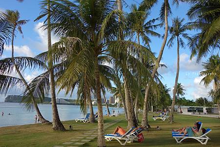 DSC03410_.jpg DSC03410_.jpg