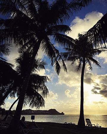 IMG_5179_.jpg IMG_5179_.jpg