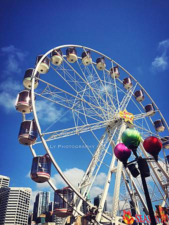 IMG_5176_.JPG IMG_5176_.JPG