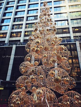 相片 2016-12-24 12 09 56_.jpg 相片 2016-12-24 12 09 56_.jpg