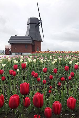 相片 2017-5-28 10 08 44_.jpg 相片 2017-5-28 10 08 44_.jpg