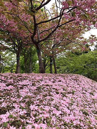 相片 2017-5-26 13 04 52_.jpg 相片 2017-5-26 13 04 52_.jpg