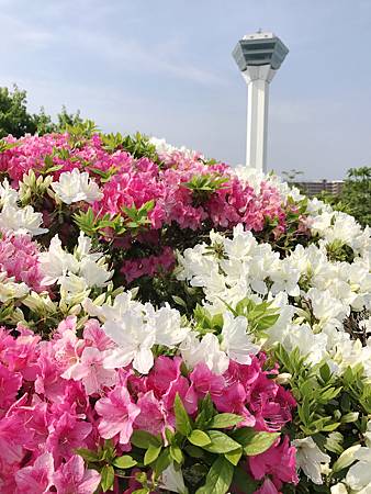 相片 2017-5-31 08 03 47_.jpg 相片 2017-5-31 08 03 47_.jpg