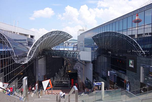 DSC06775_.jpg DSC06775_.jpg