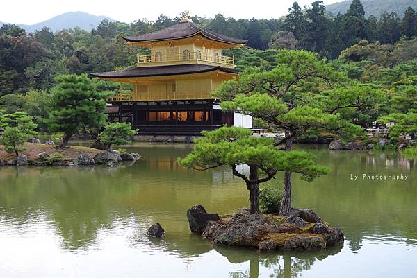 DSC06889_.jpg DSC06889_.jpg