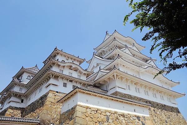 DSC08951_.jpg DSC08951_.jpg