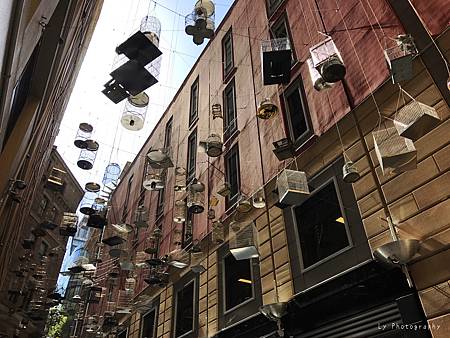 相片 2016-12-12 12 46 46_.jpg 相片 2016-12-12 12 46 46_.jpg