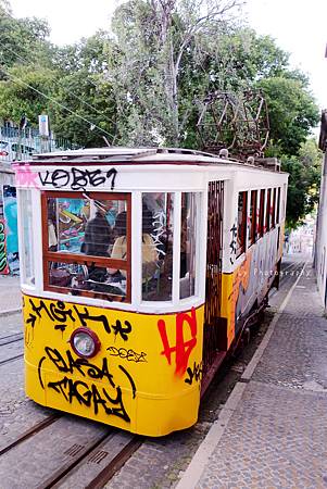 DSC07312_.JPG DSC07312_.JPG