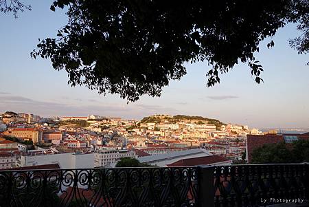 DSC07335_.jpg DSC07335_.jpg