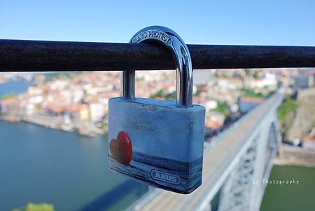 DSC08564_.JPG DSC08564_.JPG