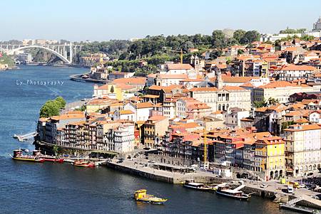 IMG_1292_.jpg IMG_1292_.jpg