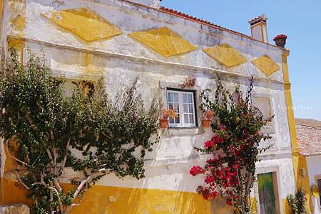 DSC09023_.jpg DSC09023_.jpg