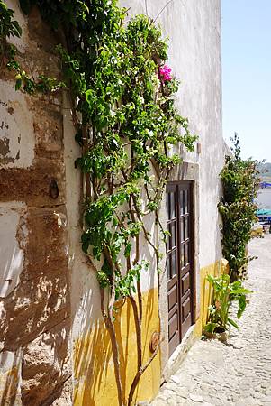 DSC09027_.jpg DSC09027_.jpg