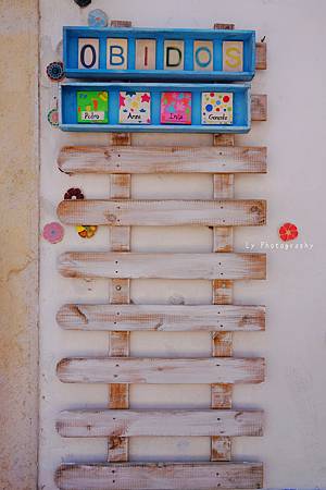 DSC09072_.jpg DSC09072_.jpg