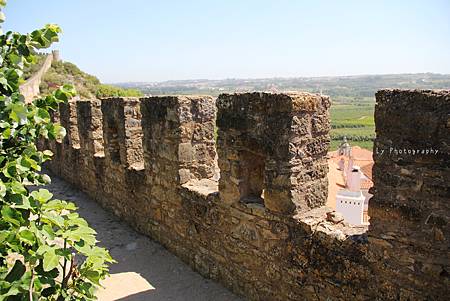 IMG_2561_.jpg IMG_2561_.jpg