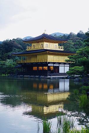 相片 2017-8-6 16 24 51_.jpg 相片 2017-8-6 16 24 51_.jpg