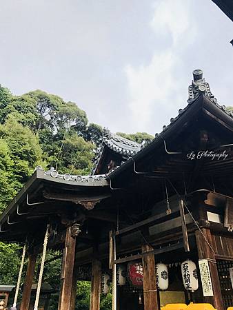 相片 2017-8-6 16 39 02_.jpg 相片 2017-8-6 16 39 02_.jpg
