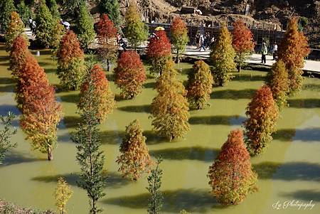 DSC03590_.jpg DSC03590_.jpg