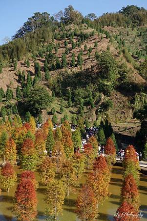 DSC03600_.jpg DSC03600_.jpg