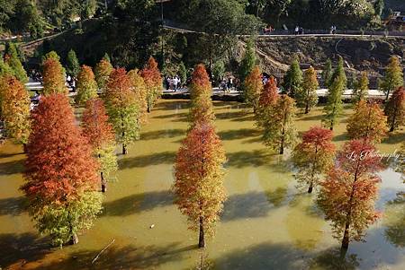 DSC03664_.jpg DSC03664_.jpg