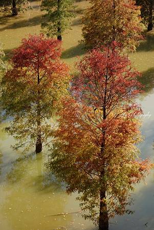 DSC03666_.jpg DSC03666_.jpg