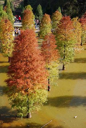 DSC03662_.jpg DSC03662_.jpg