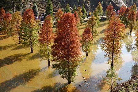 DSC03676_.jpg DSC03676_.jpg