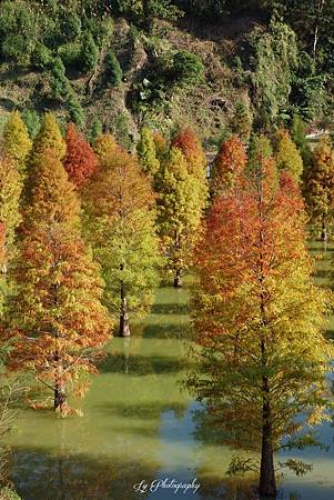 DSC03688_.jpg DSC03688_.jpg