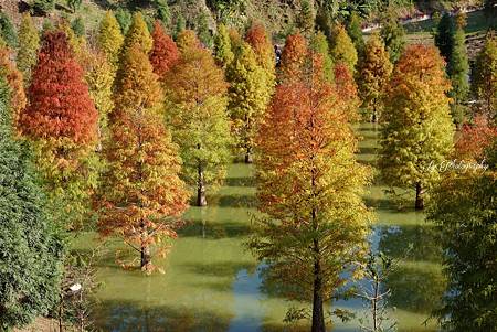 DSC03684_.jpg DSC03684_.jpg