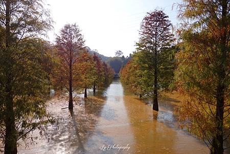 DSC03734_.jpg DSC03734_.jpg