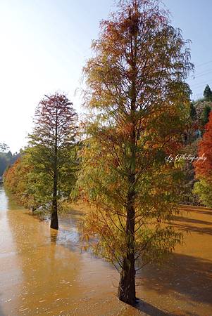 DSC03736_.jpg DSC03736_.jpg