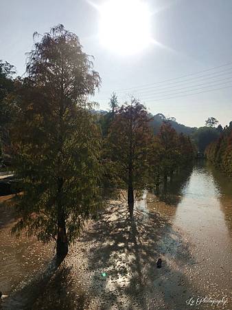 相片 2018-12-2 14 46 12_.jpg 相片 2018-12-2 14 46 12_.jpg