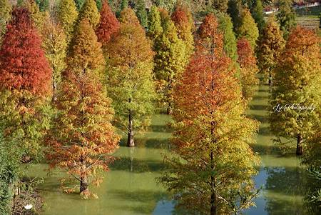 DSC03691_.jpg DSC03691_.jpg