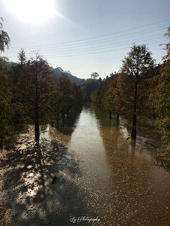 相片 2018-12-2 14 46 24_.jpg 相片 2018-12-2 14 46 24_.jpg