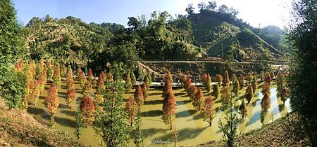 相片 2018-12-2 14 24 42_.jpg 相片 2018-12-2 14 24 42_.jpg