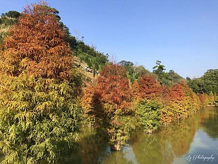 相片 2018-12-2 14 52 04_.jpg 相片 2018-12-2 14 52 04_.jpg