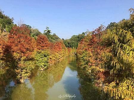 相片 2018-12-2 14 52 08_.jpg 相片 2018-12-2 14 52 08_.jpg