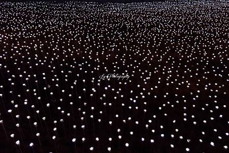 DSC03850_.jpg DSC03850_.jpg