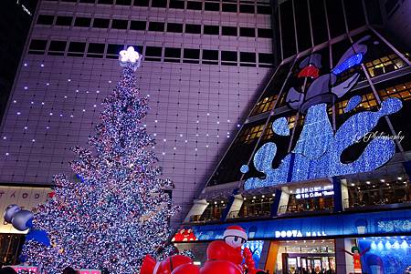DSC03892_.jpg