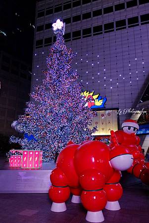 DSC03894_.jpg