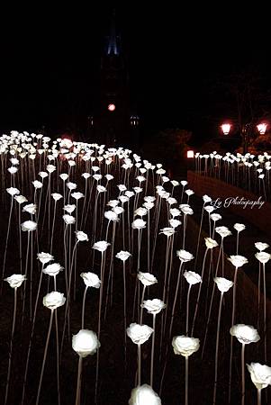 DSC04323_.jpg DSC04323_.jpg