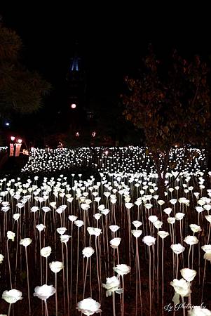 DSC04335_.jpg DSC04335_.jpg