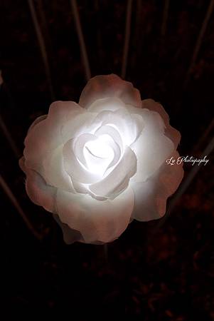 DSC04351_.jpg DSC04351_.jpg