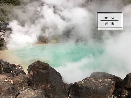 相片 2019-3-9 13 53 54.jpg 相片 2019-3-9 13 53 54.jpg